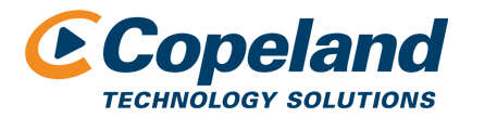 Managed IT Services Copeland Technology Solutions