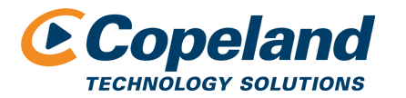 Managed IT Services Copeland Technology Solutions